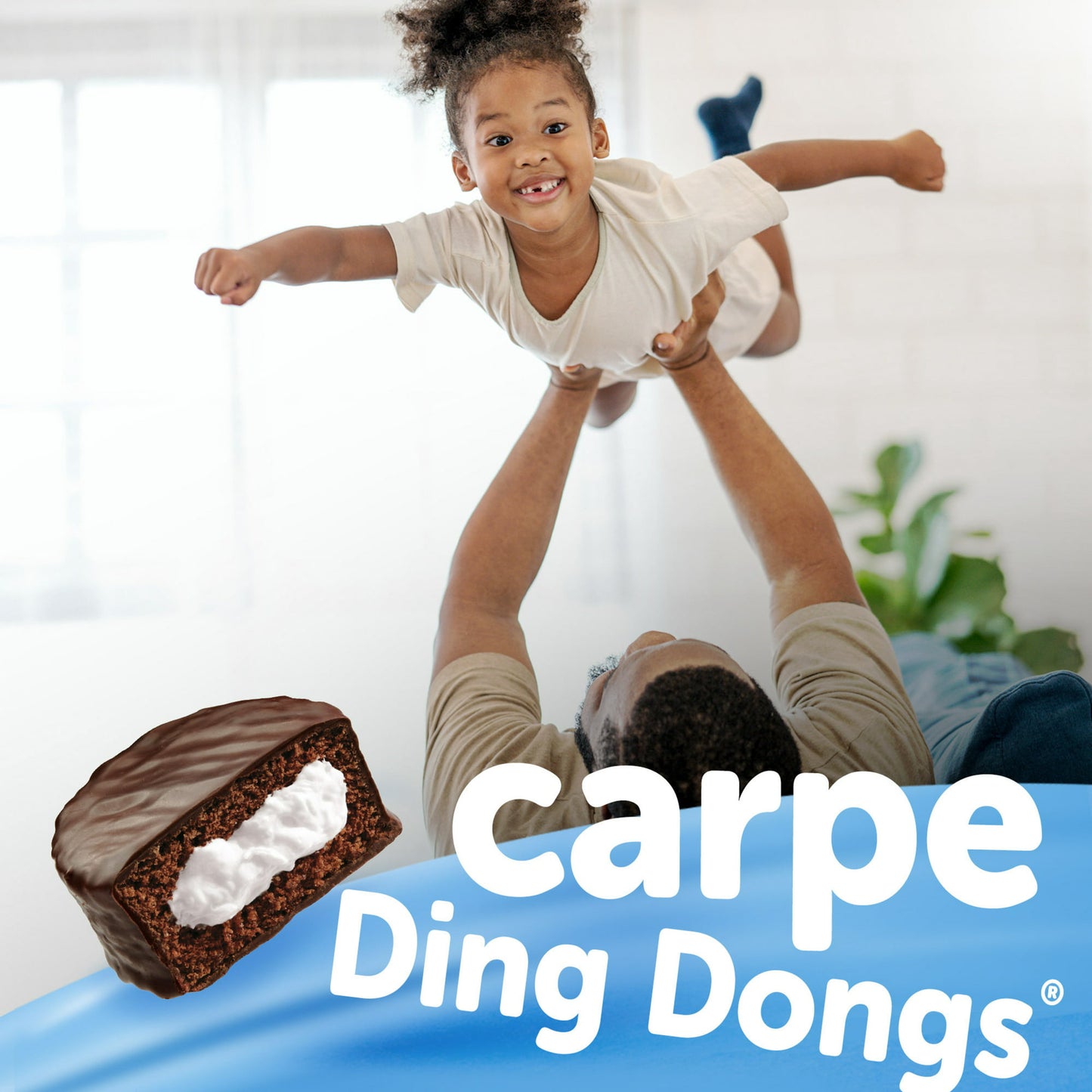 Hostess Chocolate Ding Dongs Snack Cakes, 10 count, 12.70 oz - LOOP MX